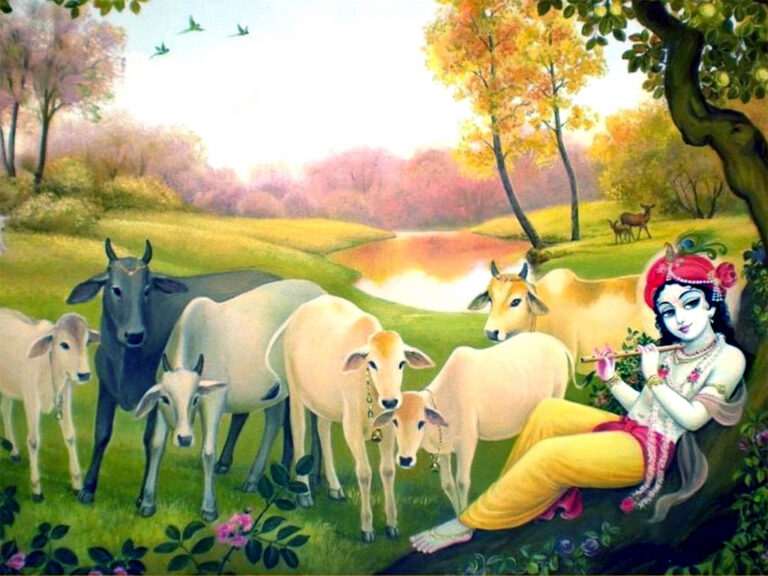 1270_krishna-cow-wallpaper-01