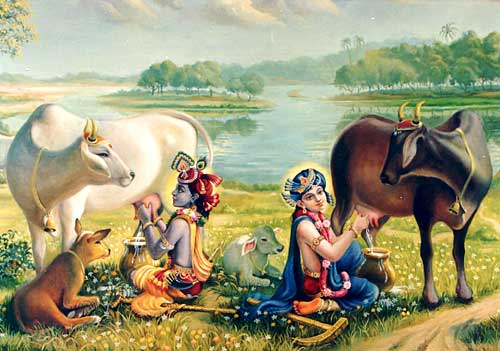 MilkingCows.317202200_std